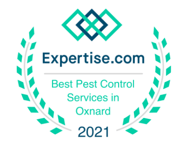 Oxnard 2021 Expertise badge