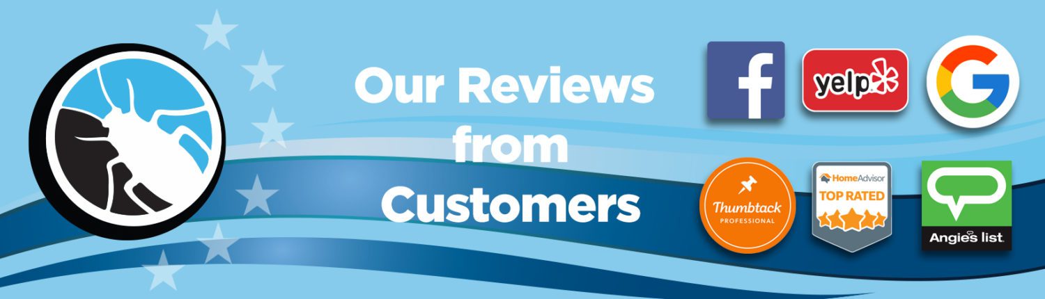 Reviews Los Angeles Ventura County Pest Control Pacific Exterminators