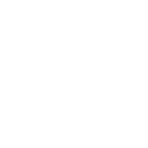 Ant control icon