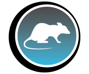 rodent Silhouette icon